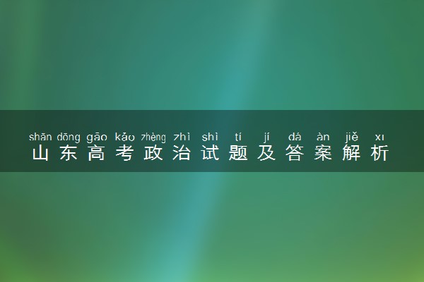 山东高考政治试题及答案解析 政治试题试卷