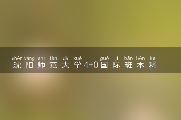 沈阳师范大学4+0国际班本科分数线