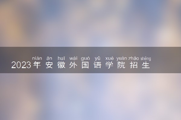 2023年安徽外国语学院招生计划专业及各省录取分数线位次