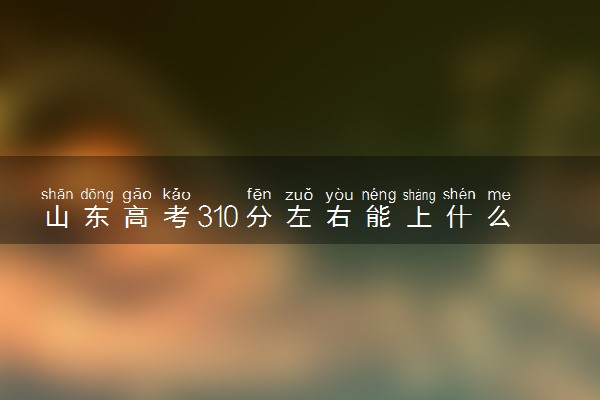 山东高考310分左右能上什么大学 可以报哪些公办院校(2023报考推荐)