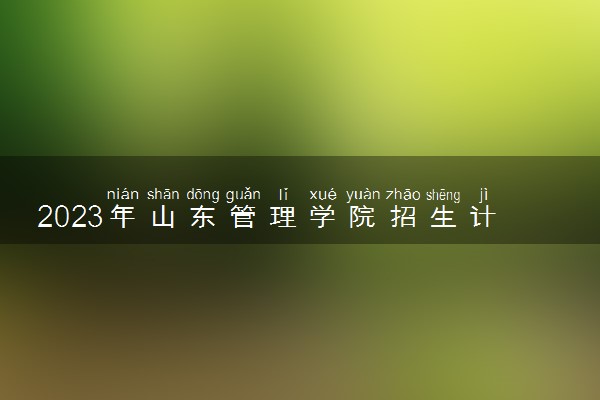 2023年山东管理学院招生计划专业及各省录取分数线位次