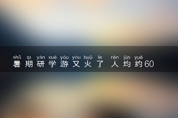 暑期研学游又火了 人均约6000元具体情况