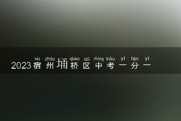 2023宿州埇桥区中考一分一段表公布 最新成绩排名