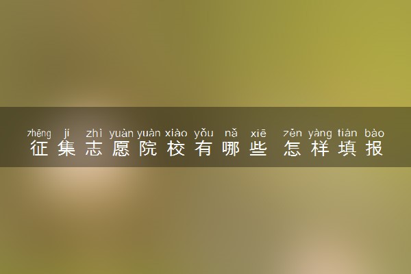 征集志愿院校有哪些 怎样填报