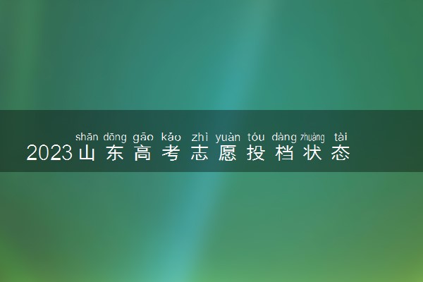 2023山东高考志愿投档状态查询方法 在哪查