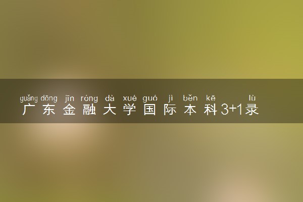 广东金融大学国际本科3+1录取分数线