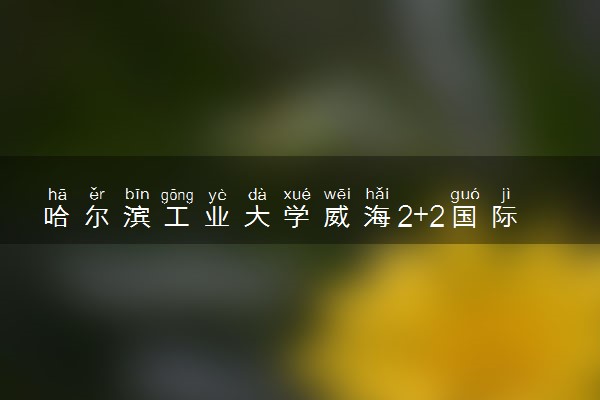哈尔滨工业大学威海2+2国际本科怎么样