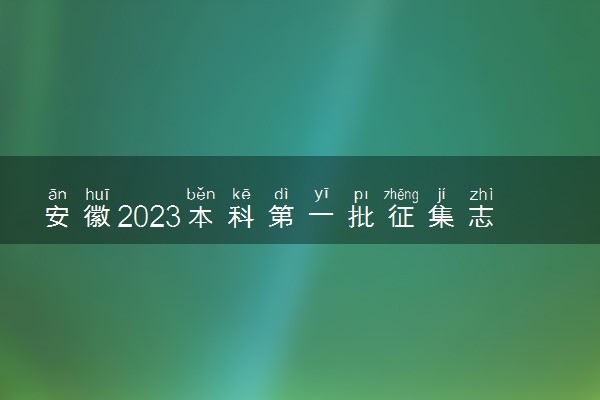 安徽2023本科第一批征集志愿计划（理工类）