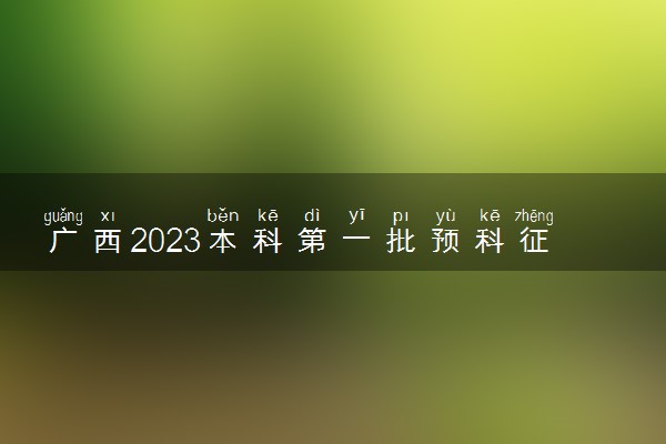 广西2023本科第一批预科征集计划信息表整理