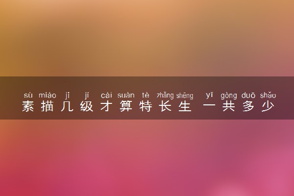 素描几级才算特长生 一共多少级