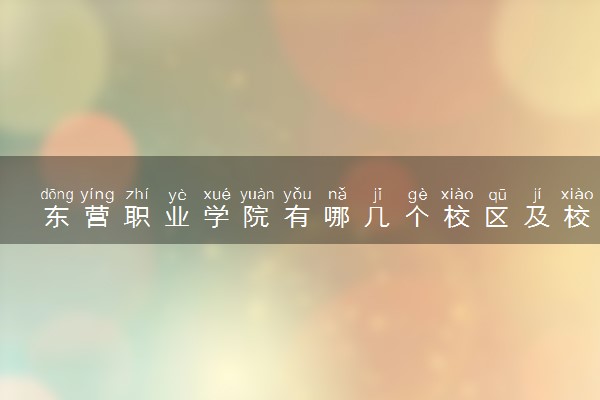 东营职业学院有哪几个校区及校区地址公交站点 分别都在哪里