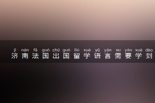 济南法国出国留学语言需要学到什么等级