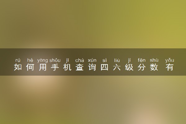 如何用手机查询四六级分数 有哪些查分方式