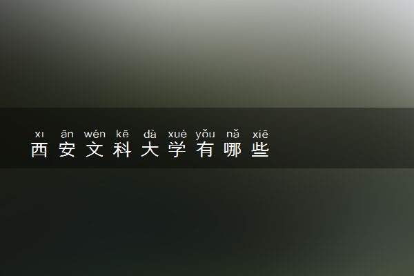 西安文科大学有哪些
