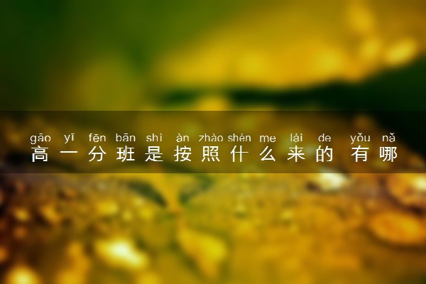 高一分班是按照什么来的 有哪些标准