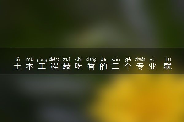 土木工程最吃香的三个专业 就业前景如何