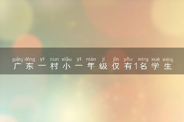 广东一村小一年级仅有1名学生 全校才7名学生怎回事