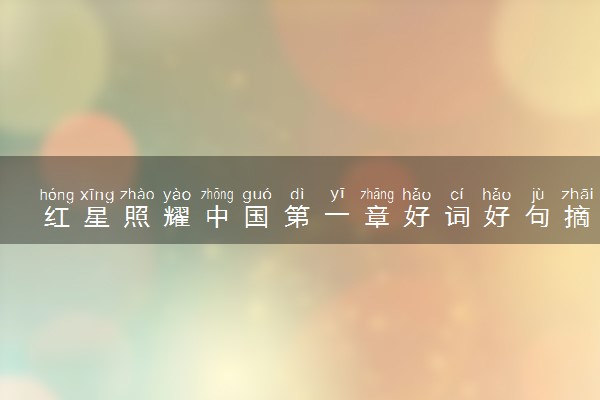 红星照耀中国第一章好词好句摘抄 读书感悟精选