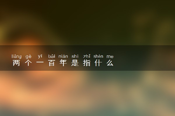 两个一百年是指什么