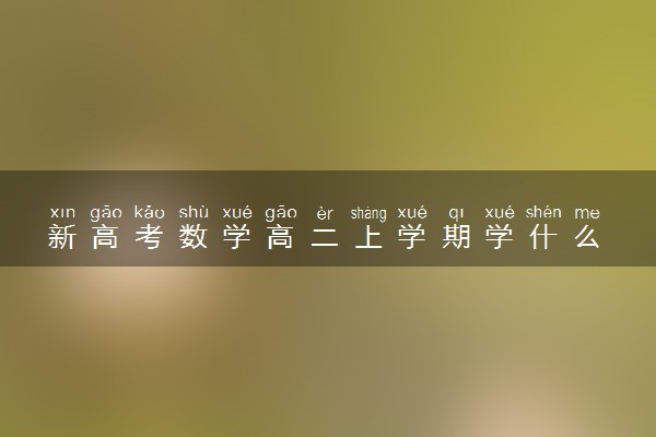 新高考数学高二上学期学什么 如何提高成绩