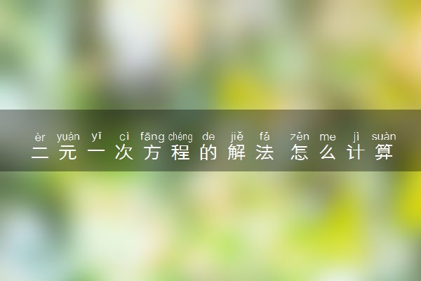 二元一次方程的解法 怎么计算的