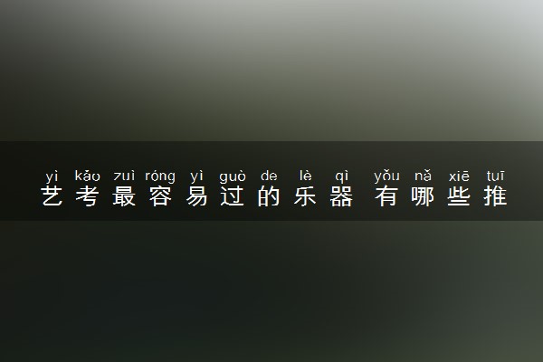 艺考最容易过的乐器 有哪些推荐