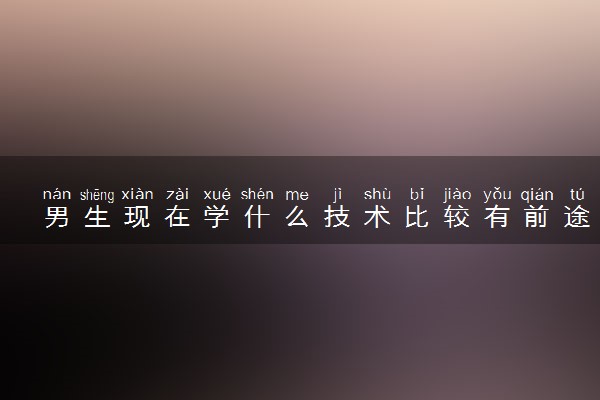 男生现在学什么技术比较有前途 学什么收入高