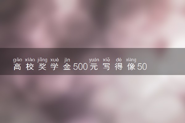 高校奖学金500元写得像50000元 什么情况