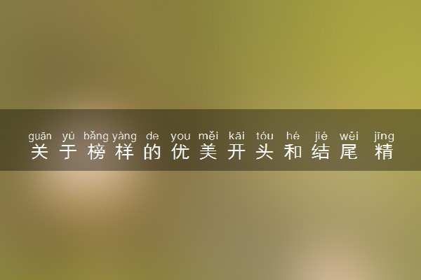 关于榜样的优美开头和结尾 精选素材摘抄