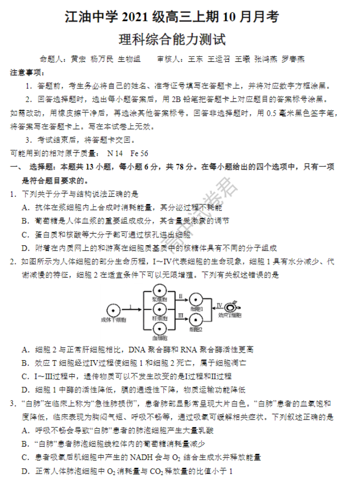 四川省江油中学2024高三10月月考理综试题及答案解析