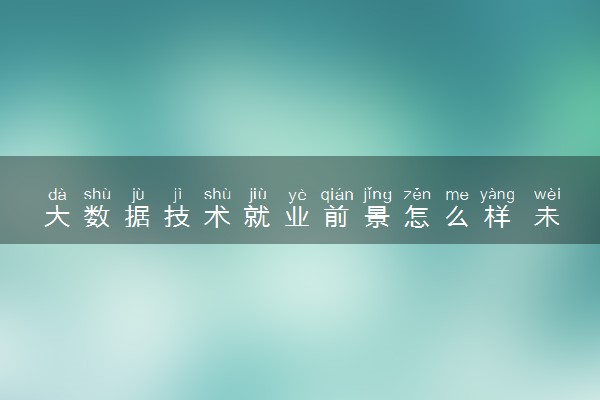 大数据技术就业前景怎么样 未来发展好吗