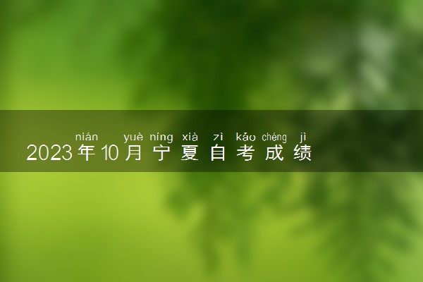 2023年10月宁夏自考成绩查询时间及入口 多久出分