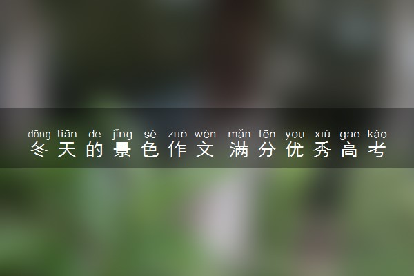冬天的景色作文 满分优秀高考作文