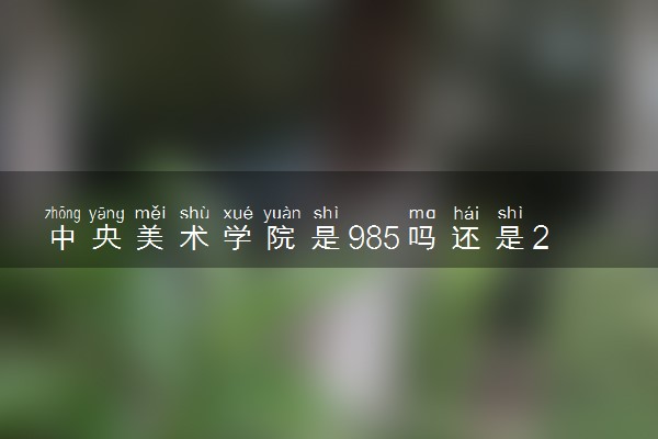 中央美术学院是985吗还是211 学校怎么样