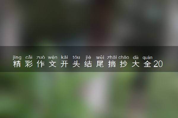 精彩作文开头结尾摘抄大全20字 高考作文优秀句段赏析