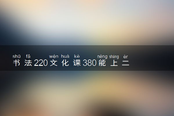 书法220文化课380能上二本吗 书法艺考好考吗