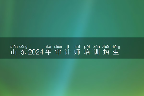 山东2024年审计师培训招生简章