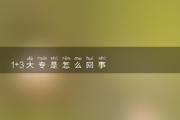 1+3大专是怎么回事