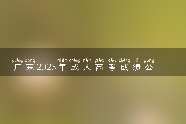 广东2023年成人高考成绩公布 如何查询