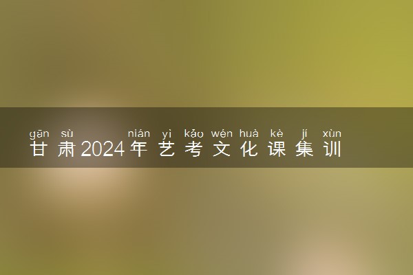 甘肃2024年艺考文化课集训学校哪里好