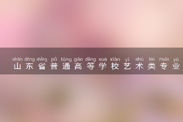 山东省普通高等学校艺术类专业招生工作实施方案