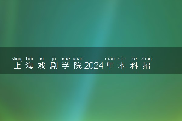 上海戏剧学院2024年本科招生专业考试类型