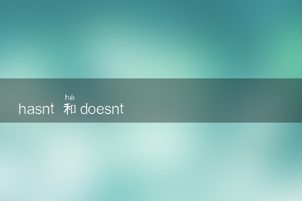 hasnt 和doesnt have 的区别
