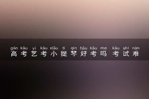 高考艺考小提琴好考吗 考试难度大不大