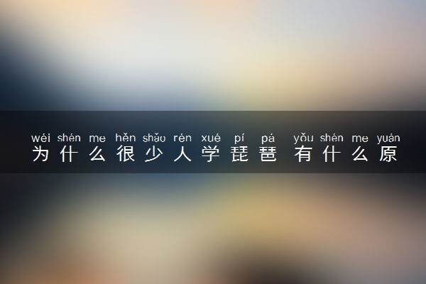 为什么很少人学琵琶 有什么原因