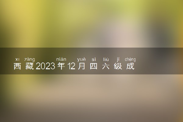 西藏2023年12月四六级成绩查询时间及入口 多久出分