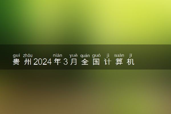 贵州2024年3月全国计算机等级考试时间 几号考试