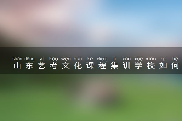 山东艺考文化课程集训学校如何选