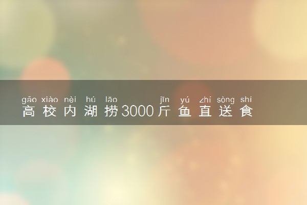 高校内湖捞3000斤鱼直送食堂 具体是怎么回事