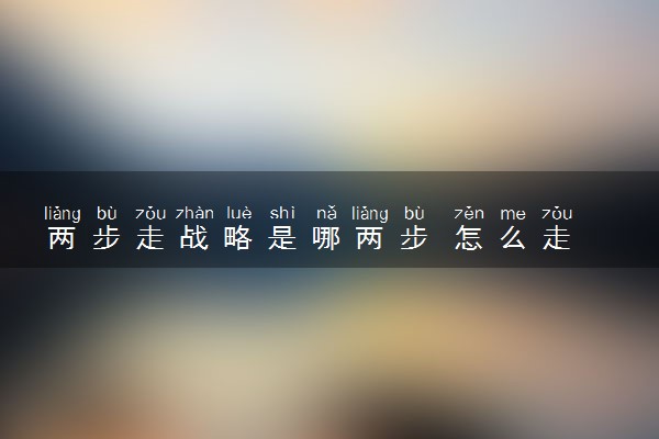两步走战略是哪两步 怎么走